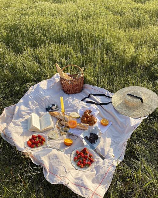 picnic blanket food