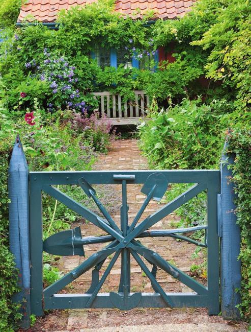 blue gate climbing plants