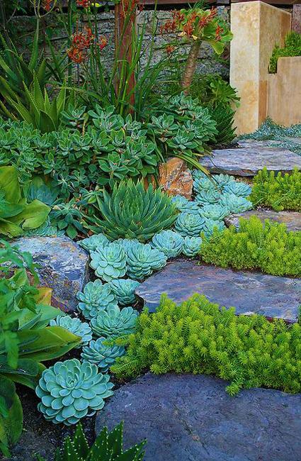 yard landscaping ideas stones succulents