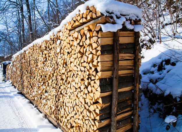 Best way to online store firewood outside