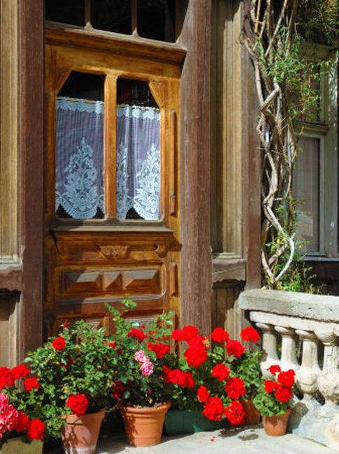 terra cotta pots summer flowers