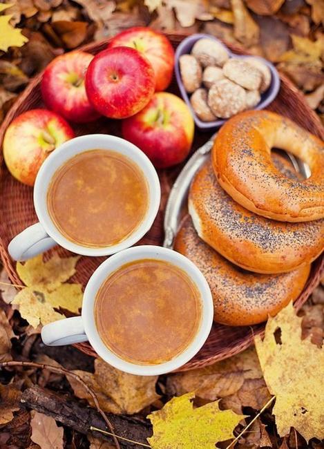 pumpkin soup bagels