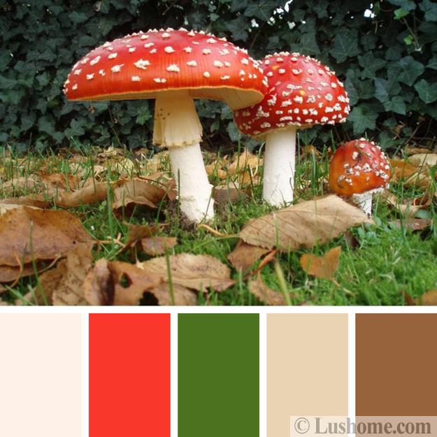Fall Color Schemes from Nature, Interior Design Inspirations