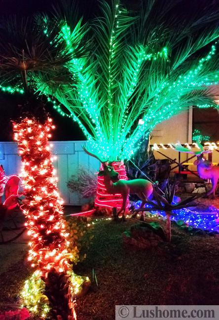 palm trees outdoor lighting designs