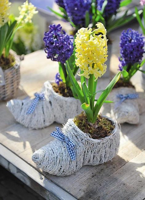 creative containers indoor flowers