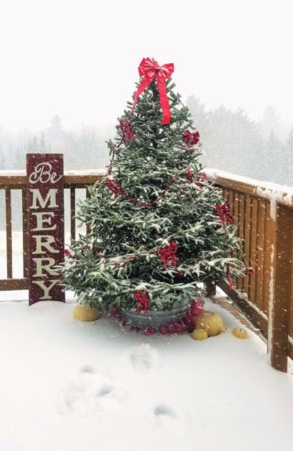 outdoor Christmas tree