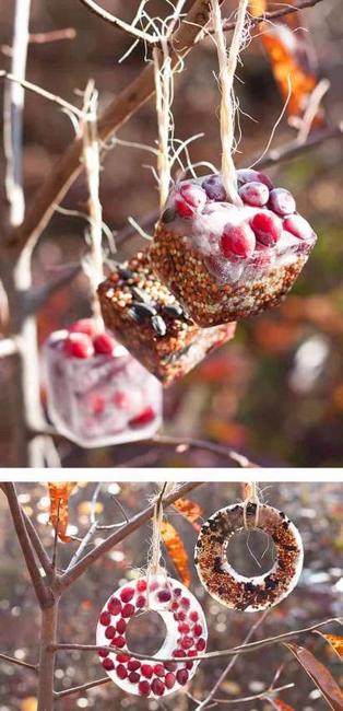 Ice Cube Bird Feeders  DIY Bird Feeder Ice Ornaments