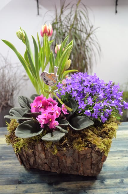 spring flower arrangement gift idea