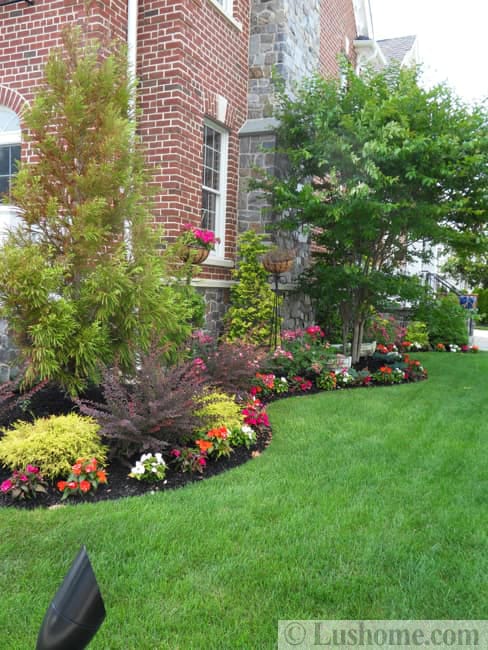 lawn flower beds