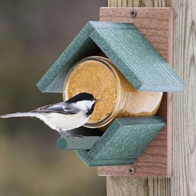 unique garden decorations original bird feeder