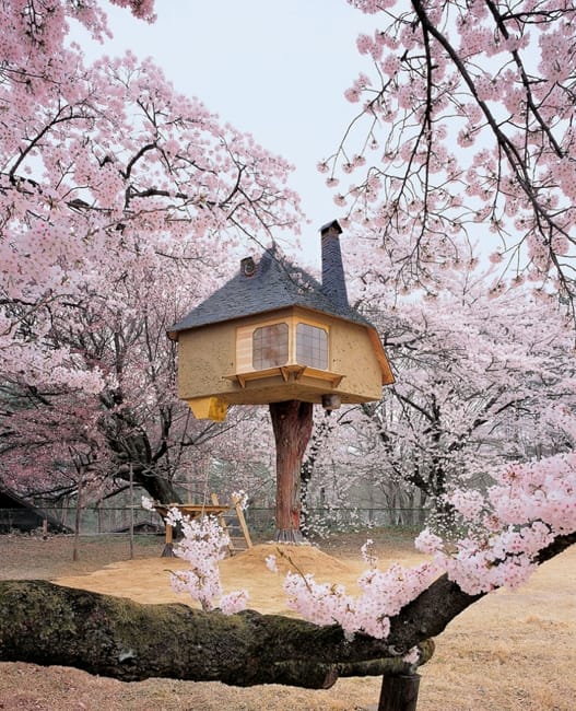 tree house exterior unusual architectural designs