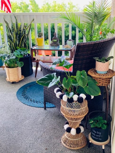 balcony decorating houseplants floor rug