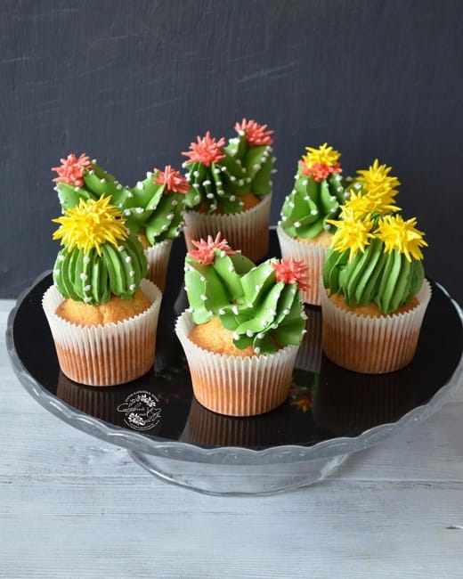 desert cacti cupcakes