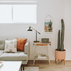 Cacti in Modern Interiors, 55 Ideas for Room Decorating with Desert Plants