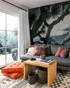Orange Colors, Modern Interior Design and Decor Ideas