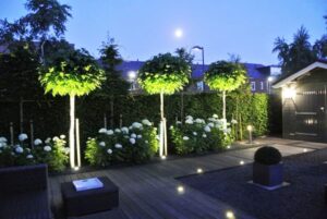 Yard Landscaping with Beautiful Outdoor Lights, Lighting Design Ideas