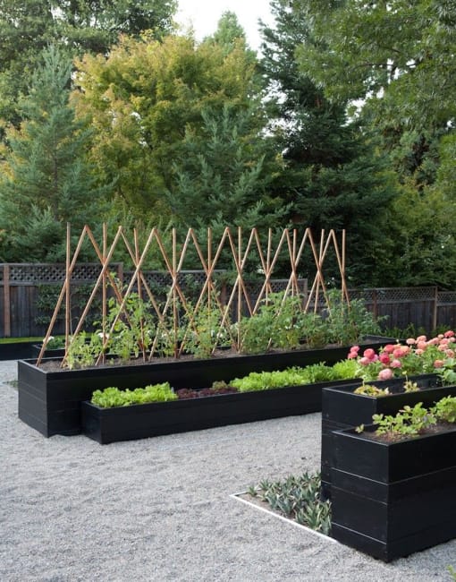 black painted wooden raised beds