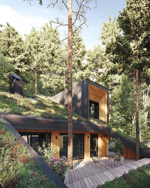 wooden deck green roof