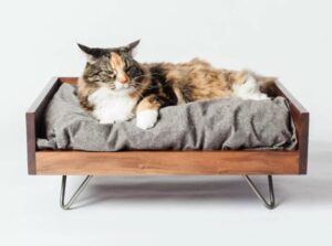 Best Cat Furniture, Design Ideas, Smells and Sounds to Please your Pets