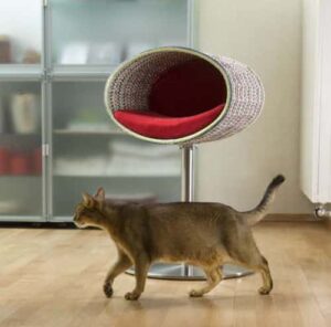 Stunning Furniture For Anxious Cat Owners image