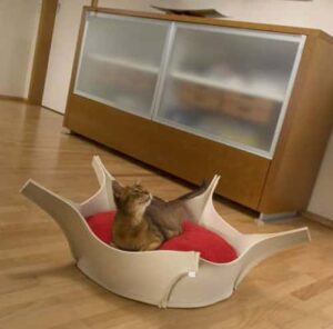 Furniture For Anxious Cat Owners photo