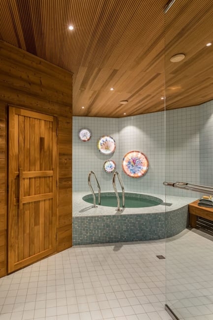 home spa modern bathrooms