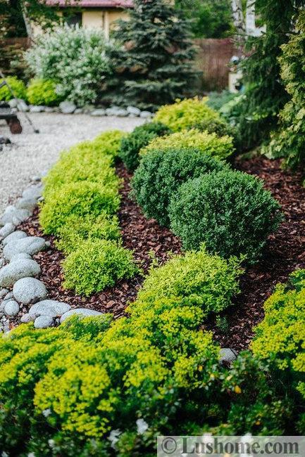 mulch stones garden bed design