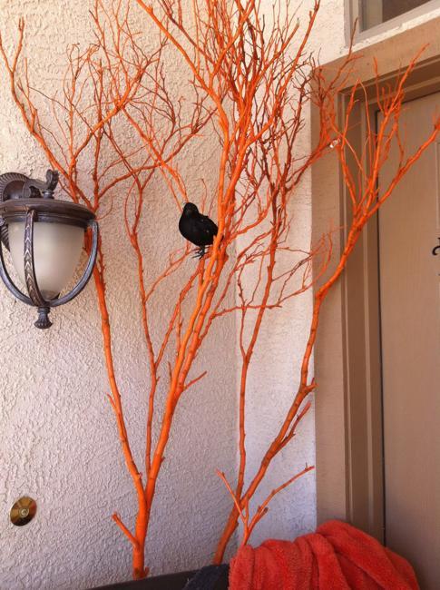 orange painted branches