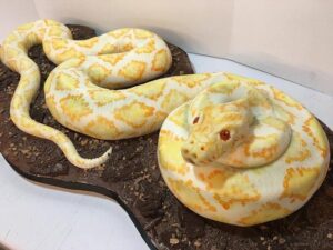 50 Creative Food Decoration Ideas, Snake Inspired Edible Decorations ...