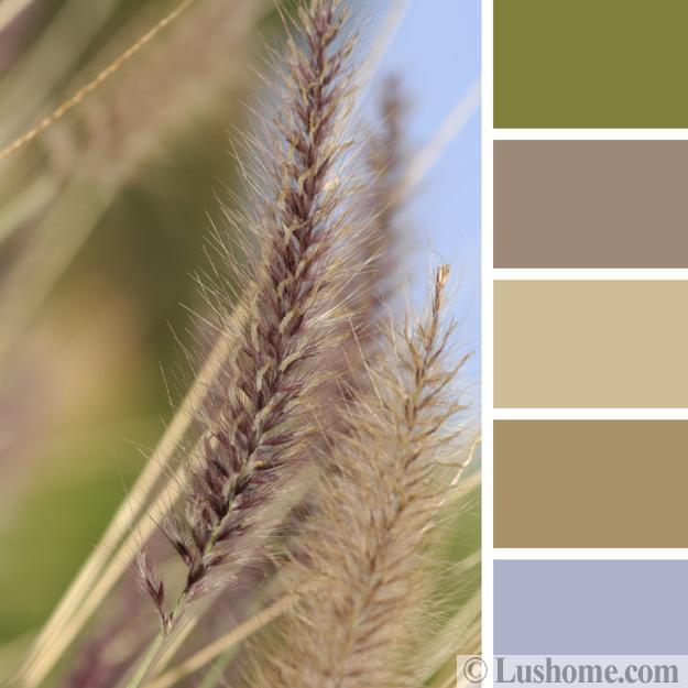 plants natural colors