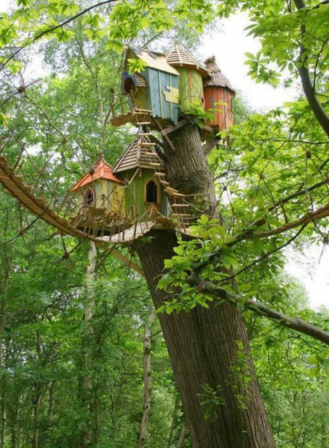 architectural designs structures around tree trunks backyard ideas