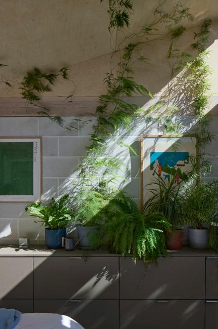 houseplants interior decorating