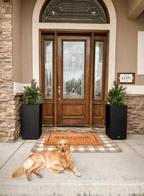 modern wood doors