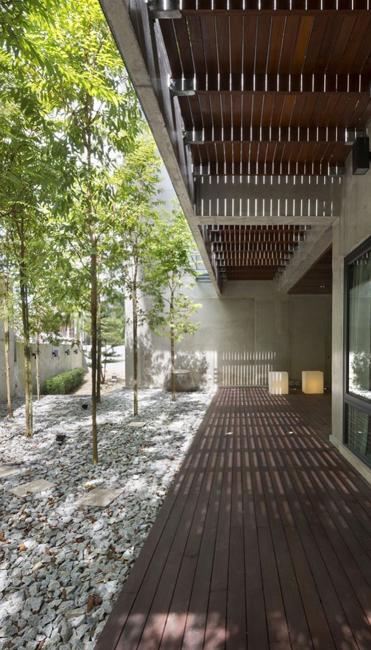 gravel yard landscaping trees