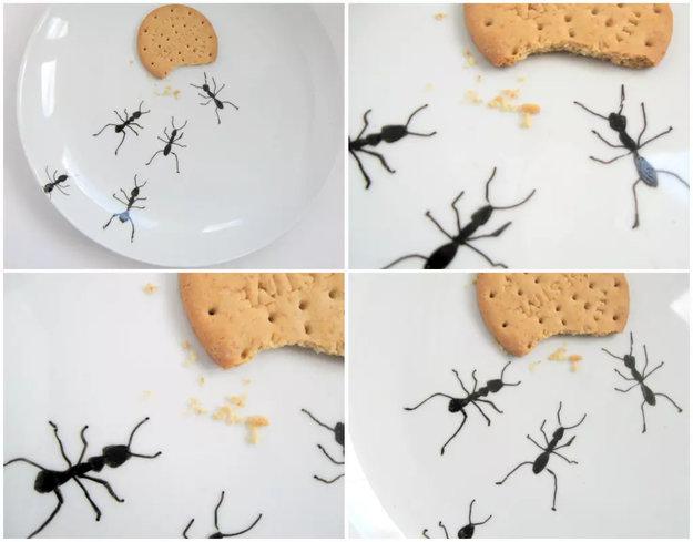stylish dinnerware ideas