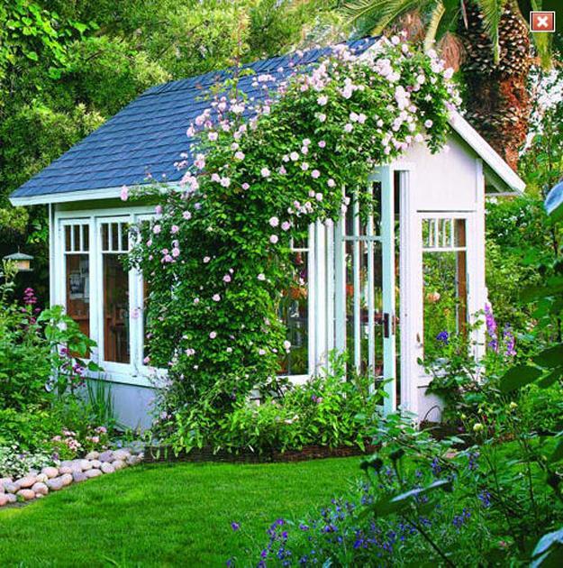 climbing plants garden designs green walls