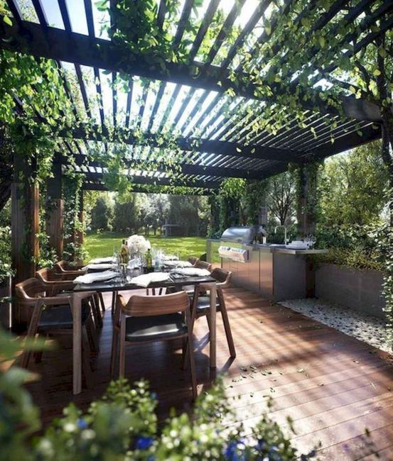 climbing plants garden designs green walls