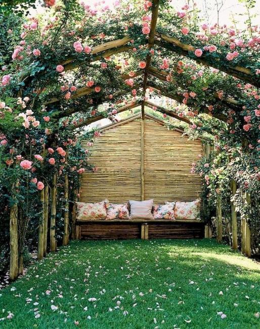 romantic garden bench climbing rose plants