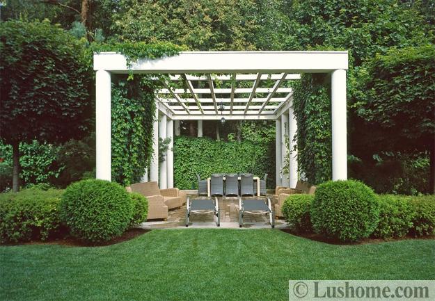 beautiful garden pergola