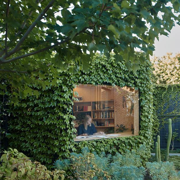 climbing plants garden designs green walls