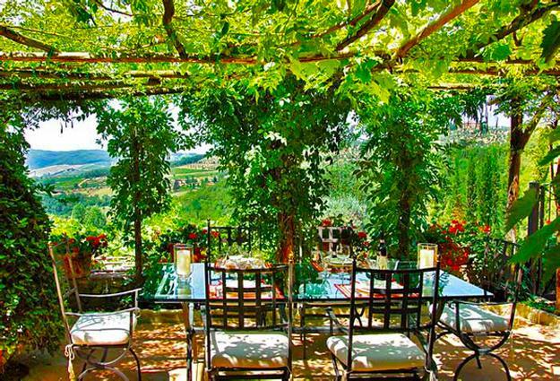 climbing plants garden designs green walls