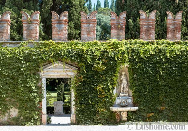 climbing plants garden designs green walls