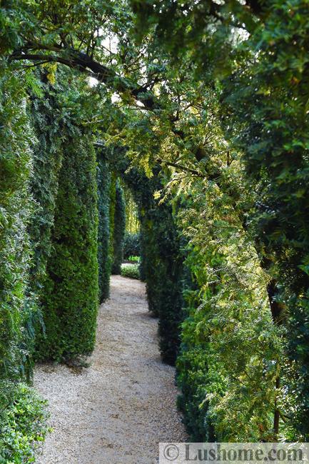sun shade garden path design