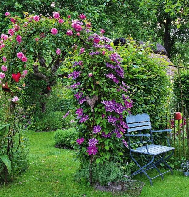 climbing plants garden designs green walls