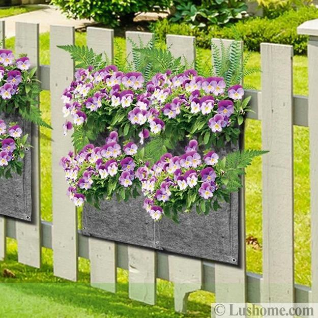 wooden fence hanging flowering plants