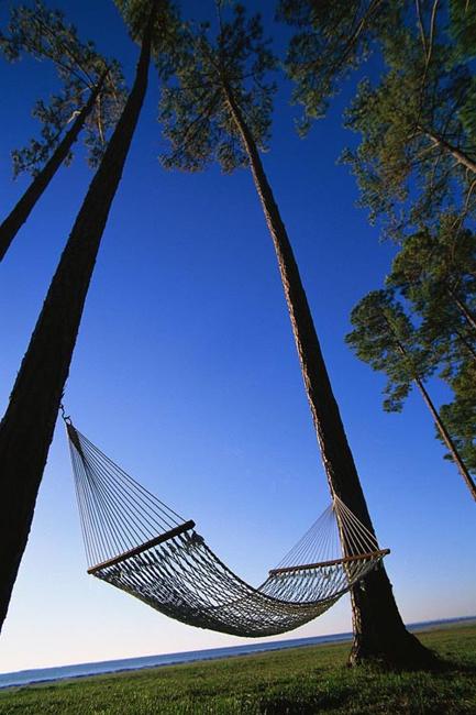 traditional hammock