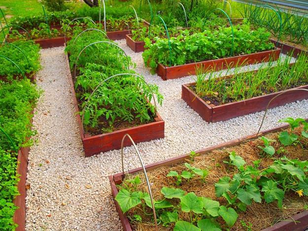 low space dividers small backyard design