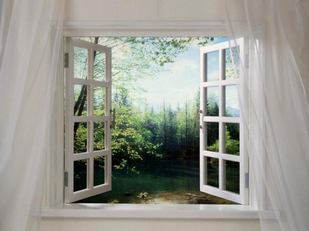 open window forest view