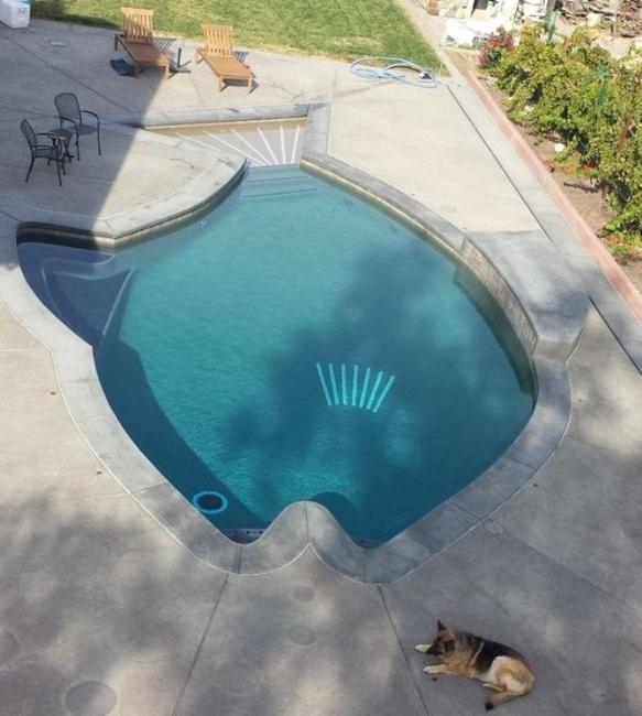 fish shape swimming pool