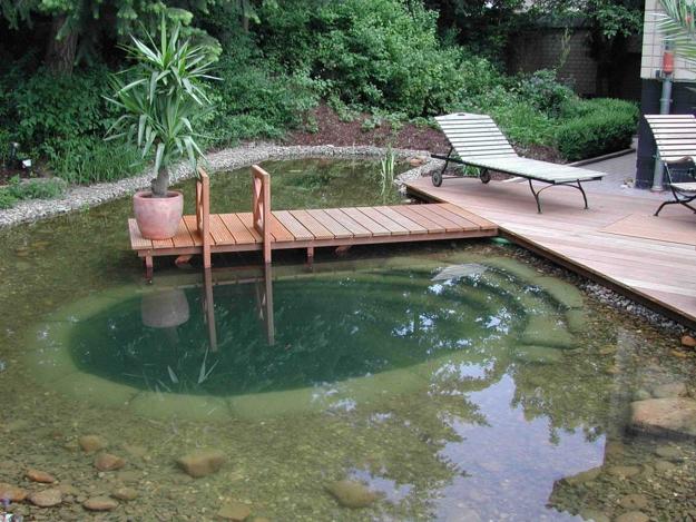 unique pond pool design